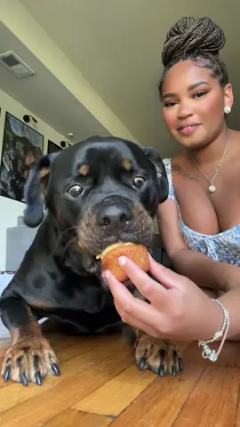 PUPCAKES PART TWO 😋🤭  #rottweiler #rottweilersoftiktok #PetsOfTikTok #rottie #rottiesoftiktok #dogsoftiktok 