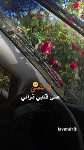 لا تقسى على قلبي تراني 🥹❤️#عبدالله_ال_فروان #شيلات #اكسبلور #viral #lavendr81 #تصويري #قوالب_كاب_كات #تصميم_فيديوهات🎶🎤🎬 #ستوريات_حزين #ستوريات_متنوعه #CapCut 