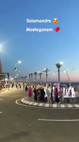 #salamandre #mostaganem #صلمندر #مستغانم #المستغانمي #المستغانمية🇩🇿♥😍_____حرة🍯👑 