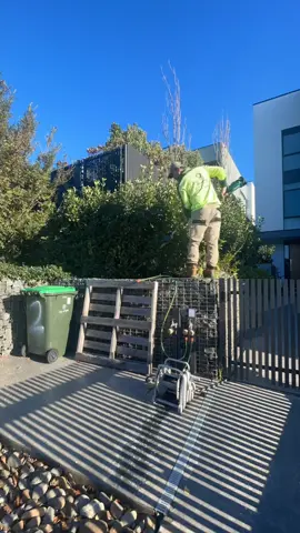 Hedge trimming ✂️✂️ For more watching please follow:  #davidsmowingsydney #satisfying #transformation #oddlysatisfying #australia #gardening #foryou #fyp #makeover #business #EURO2024 #melbourne #roses #asmr #football #Philippines #beforeandafter #dance #selflove #paris #uk #sydney #loveyou #explore #thailand #goodvibes #art #photography
