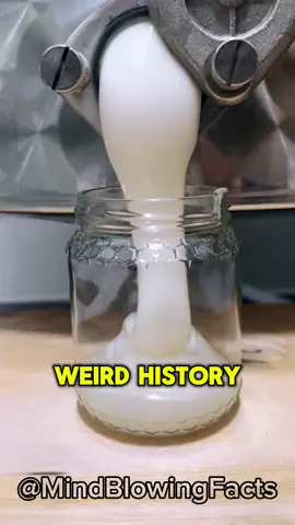 ⚠️ History Facts 🧠 Few people knew the last fact 💡 #historyfacts #LearnOnTikTok #factsyoudidntknow #History #facts #curiosities #satisfying #relaxing 