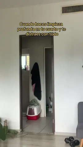 Jajajaja soy