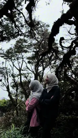 Every step feels like a fairytale ✨#hikingadventures 