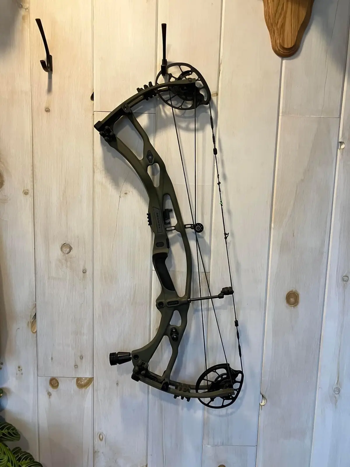 $800 hoyt Rx7