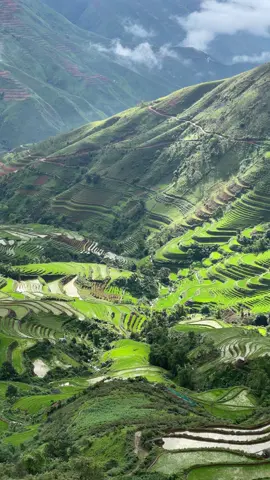 Mình đang sống một mùa hè xanh mát, ở 1 xã nhỏ trên vùng núi cao. Những màu xanh của núi rừng, của cây cỏ trên những thửa ruộng bậc thang, lấp lánh dưới ánh nắng mặt trời…#namvivu #travel #taxua #photography #