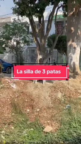 #viral #viralvideo #humor #colombia #viraltiktok #viralpage #funny #funnycats #mundo 