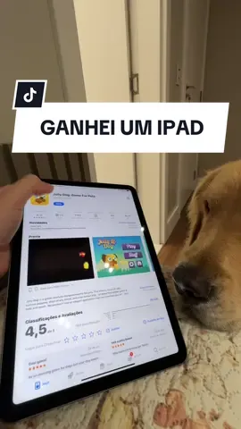 pouco mimado gracas a Deus 😅 #goldenretriever #jollydog 