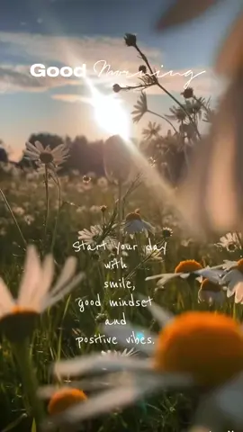 Good M🌼rning  #CapCut #morning #morningvibes #sunrise #positivevibes #quotes