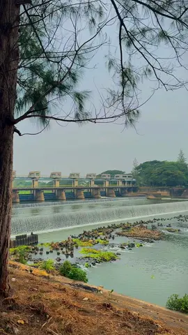 📍Bendungan Gerak Waru Turi #kediripride #kediri #kediri24jam #kedirikekinian #explorekediri #jelajahkediri #infokediriraya #infokediri #fypシ #tiktokkediri #wisatakediri #wisatakabupatenkediri 