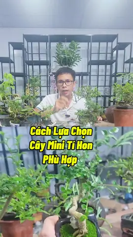 Lựa Cây Chơi Mini Tí Hon #caytrongchau #caymini #kichrahoa #trongcay #chamsoccaytrong #kythuatcaytrong #trongcay #trongcaylamvuon #namxelan90 