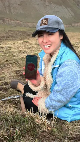 Những pha đào đông trùng hạ thảo đi ngược vào lại lòng đất của Kiều hậu đậu 😂 #kieutravel #dongtrunghathao #cuocsongtaytang #dongtrunghathaotaytang #tibet #taytang 