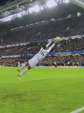 Impossible Goalkeeper Saves. #football  #Soccer  #trending  #viral  #footballmoments  #foryou  #fyp 