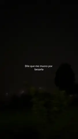 Dile - Tranzas #tranzas #ecuador #xybca #viral #dile #fypage #clasicos #lyricsvideo #musica #dedicar #letrasdecanciones 