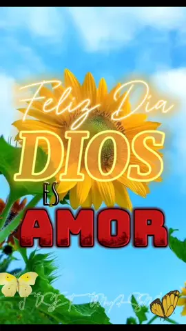 Yo te doy Gracias Señor...  #CapCut #marcoswitt   #graciaspadreamado🙏 #graciasseñor  #musicacristianatiktok #musicacristiana #alabanzas_cristianas #felizdia 