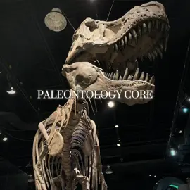 Take a deep breath and just enjoy the moment #dinosaurs #paleontology #paleontologyedit #prehistoricplanet #pterosaurs #mesozoicera #capcut #fyp #viral #jurassicworldclipz 