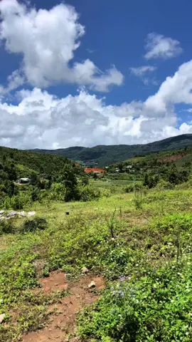 🌻🌻 “ Yêu cuộc đời mình sống , sống cuộc đời mình yêu ❤️. “ Chúc bản thân luôn vui vẻ , ít muộn phiền 🥰  #pon81❤️ #81h02936 #xetai81gialai❤️ #chenglongh7 #81gialai #xetai #chill 