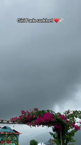 Fhula haru muskauxan timile dekhxau ra 💁❤️? #giriparksurkhet #peace #flowers 