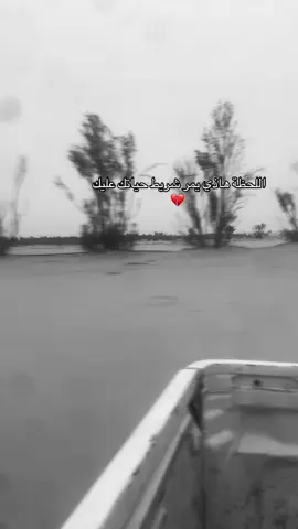 #عالجو #مجانين #وادي_الدواسر 💔💔💔💔💔