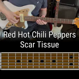 Red Hot Chili Peppers - Scar Tissue Intro Riff … … … #rhcp #redhotchilipeppers #scartissue #guitartok #yogitheguitarist #guitaristsoftiktok #guitarist #guitarlesson #guitarlessons #rhythmguitar #rhythmguitarist #riff #riffoftheday #guitarriffs #rockmusic #rockguitar 