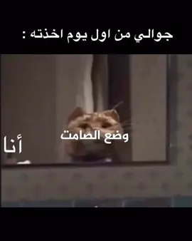 #الشعب_الصيني_ماله_حل😂✌️  #اكسبلوررررر  #explore  #السعوديه 