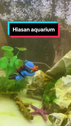Miniatur orang menyelam untuk hiasan tangki ikan #aquariumhobby #mesinfilteraquarium #hisanaquarium #aquariumfish 