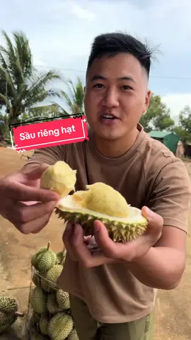 Sầu riêng hạt Đắk Nông #daknong #saurieng 