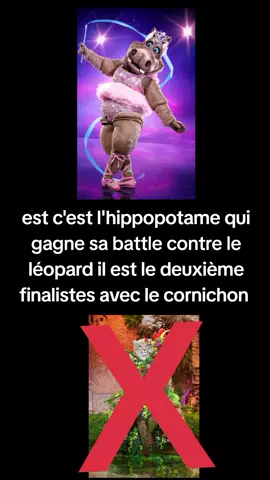 l'hippopotame est en finale match très serré contre le léopard peut être que le score changera plus tard en tout cas aujourd'hui les votes sont clos dans le costume préféré de tiktok Mask singer saison 6 