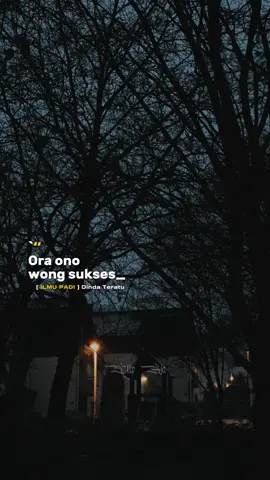 #ilmupadi🌾 #dindateratu #liriklagu #template #CapCut 