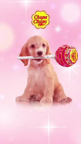 Já salva o post e manda aquele bom dia cheio de doçura no grupo. Dica pro seu dia ser 100% mais divertido. #ForeverFun
