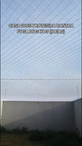 tela modelo quadra em quintal para evitar fuga de gatos! #gatos #catideas #maedepet #cat #gatostiktok #fyyyyyyyyyyyyyyyy 