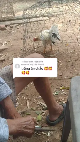 Trả lời @user4006639874619 ông nói có gì không đúng ae bỏ qua nha 