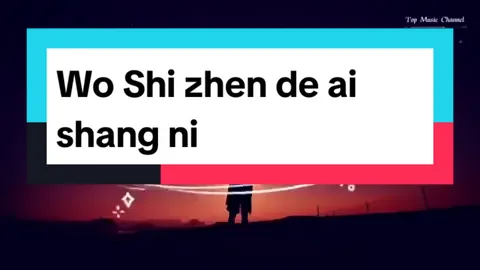 Wo Shi zhen de ai shang ni #mandarinsong #mandarinhits #lagumandarin #mandarinmusic 
