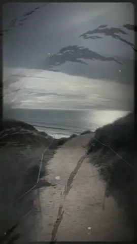 #capcut #edit #weisheiten  #ocean #beach #moby #fy 