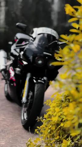 හද ගැස්මත් පවා දැනෙනා තුරා 🥺❤️‍🩹.      #gullarm #WD #cbr250rr #japan_power🔥 #modification #CapCut #cbr #tiktok #srilanka #yoshimura #painting #mc22 