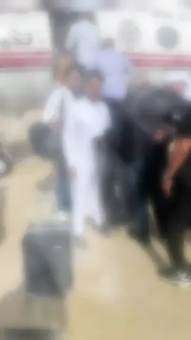 #ليبيا_طرابلس_مصر_تونس_المغرب_الخليج 