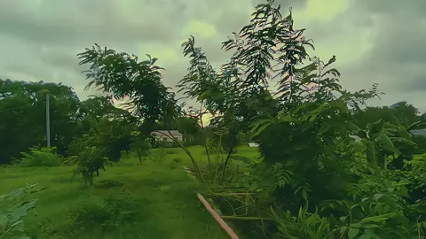 বৃষ্টির চেয়ে বৃষ্টির  আগ মূহুর্তটা বেশি সুন্দর লাগে কার কার😀💐🌺#foryou #foryoupag #edit #sinematik #videography #vairal #trending #cinematic #team_of_fx @TikTok Bangladesh @TikTok @TikTokCreators_ID 