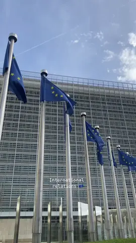 📍Brussels, Belgium 🇧🇪🇪🇺🇫🇮 #internationalrelations #publicdiplomacy #diplomacy #politicalscience #europeanunion #europeancommission #europe #IR #irstudent #career #CapCut 