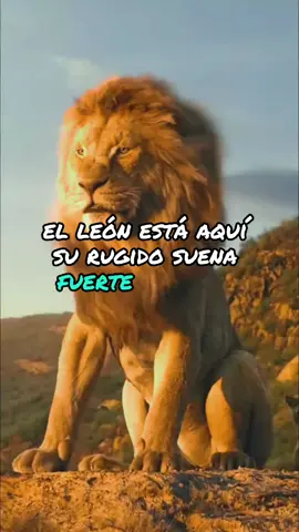 Nadie puede detenerle  Grace Rodríguez  #flyyyyyyyyyyyyy #viral #musicacristiana #cancionescristianas #canciones #alabanzas_cristianas #gracerodriguez #laryover #nadiepuededetenerle #musica #mensajescristianos #reflexiones #videosmusicales #estados #dios #jesus #jesucristo #leondejuda #leon #videosvirales #jovenescristianos #seguidoresdejesus #seguidoresdecristo #hijodedios #fe #videoscristianos #cristianos 