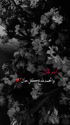 #عباراتكم #explore 