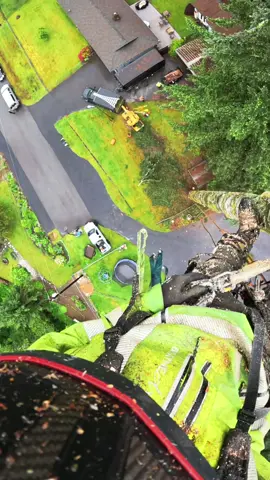 Long way down. . . #climb #climbing #climber #heights #vertigo #Outdoors #outside #work #working #chainsaw #chainsaws #wood #woodwork #woodworking #woodcarving #danger #hazard #forest #forestry #viral #fyp