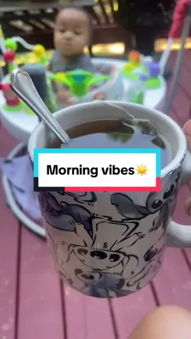 Morning routine ☀️ took a second to enjoy the fresh air before it got too hot outside🌅 ##morningroutine##wateringplants##gardening##garden##morningtiktok##teatime##8monthsold##babyboy##boymom