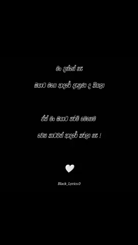 🤍🙂 #black_lyrics #blacklyrics #sinhala #wadan #fyp #නිට්ටඹුවේ_අපි 
