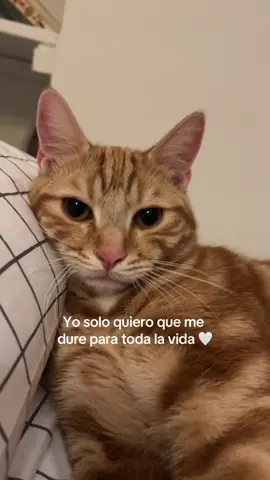 Mi bebe hermoso 🤍