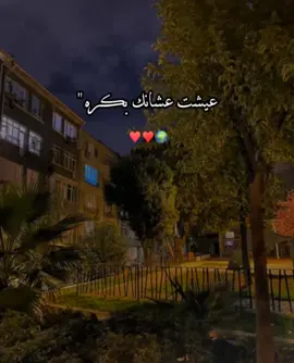 بتحبها »» منشنلها ❤️🦋 بحبك ❤️🦋 #منشن #منشن_للي_تحبه #foryou #منشن #❤️❤️❤️❤️ #faresreda121 #fpy #حب #love #بيكي_الحياه_بتحلالي 