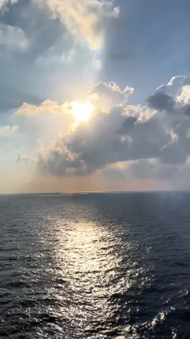 Longing to be back on the ocean! Here’s a few clips from our Royal Caribbean Cruise to Roatán, Honduras, Cozumel and Costa Maya, México!! 🩵💙🩵🛳️🌊 #travel #traveltok #ocean #sea #fyp #foryou #foryoupage #fypシ゚viral #fypツ #blue #swimming #cruise #vacation #relax #calm #peace #peaceful #sunset #caribbean #caribbeansea #royalcaribbean #royalcaribbeancruise #mexico #méxico #honduras #roatán #beautiful #stunning #gorgeous #water #takemeback #fun #memories #swim #cruising #ship #boat #cruiseship #cruiselife 