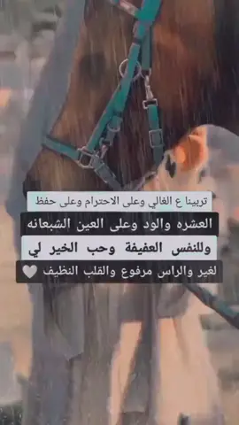 #شفت - عز- ببيت- ابوي- أهلي