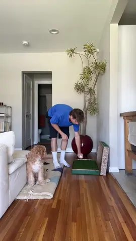 STAY TUNED - any tips are appreciated 🙏 @freshpatch 