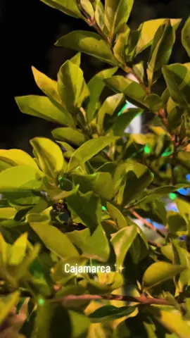 Cajamarca ✨ #pueblosmagicos #cajamarquinabonita #bellezanatural #beautiful #fotografia #noches #fyp @Visita Cajamarca 