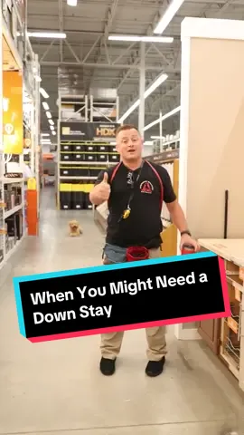 When You Might Need a Down Stay #puppy #puppies #pup #puppylove #dog #dogs #doglover #fyp 