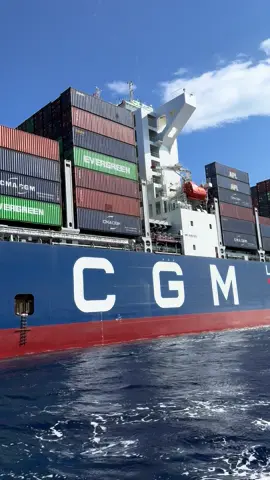 CMA CGM AMBITION powered by liquified natural gas (LNG) ⛽️ #cargoship #containership #ship #offshore #pilotboat #harborpilot #miamipilotboat #maritimepilot #sea #fy #explorepage #boat #fyp #ocean #container #stacked #shipping #cmacgm #pilotladder